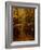 Going My Way V-Doug Chinnery-Framed Photographic Print