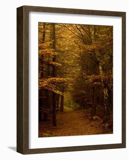 Going My Way V-Doug Chinnery-Framed Photographic Print