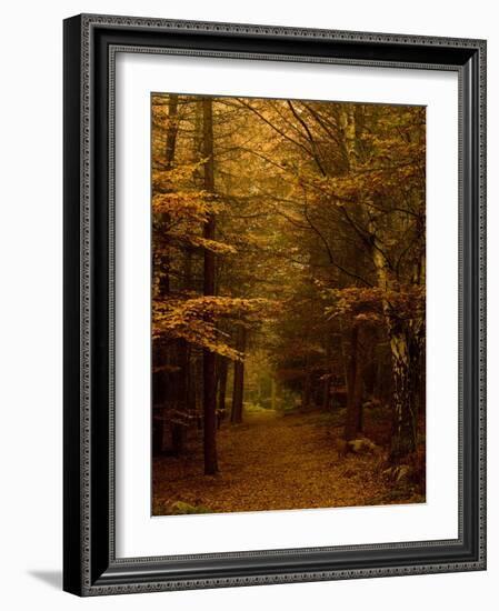 Going My Way V-Doug Chinnery-Framed Photographic Print