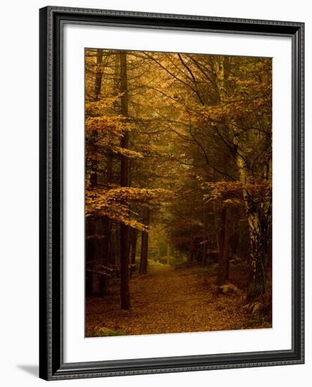 Going My Way V-Doug Chinnery-Framed Photographic Print