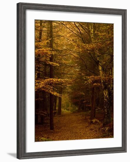 Going My Way V-Doug Chinnery-Framed Photographic Print