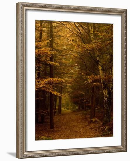 Going My Way V-Doug Chinnery-Framed Photographic Print