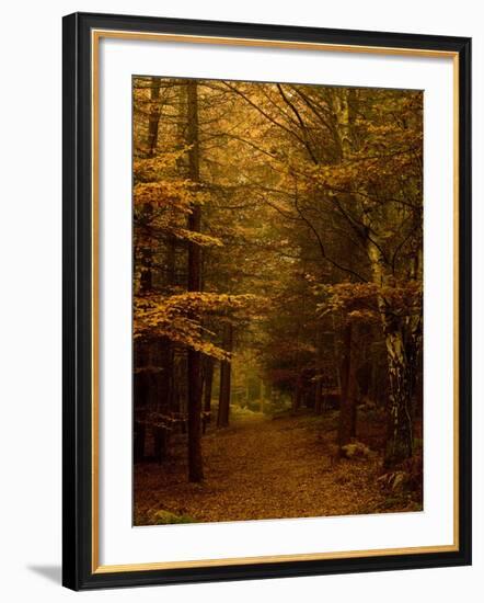 Going My Way V-Doug Chinnery-Framed Photographic Print