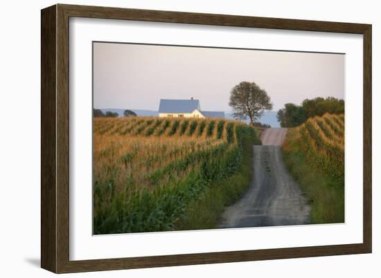 Going Places-Orah Moore-Framed Art Print