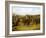 Going to the Derby-Henry Thomas Alken-Framed Giclee Print