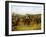 Going to the Derby-Henry Thomas Alken-Framed Giclee Print