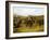 Going to the Derby-Henry Thomas Alken-Framed Giclee Print
