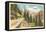 Going-to-the-Sun Highway, Glacier Park, Montana-null-Framed Stretched Canvas