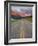 Going-To-The-Sun Road, Glacier National Park, Montana, USA-Charles Gurche-Framed Photographic Print