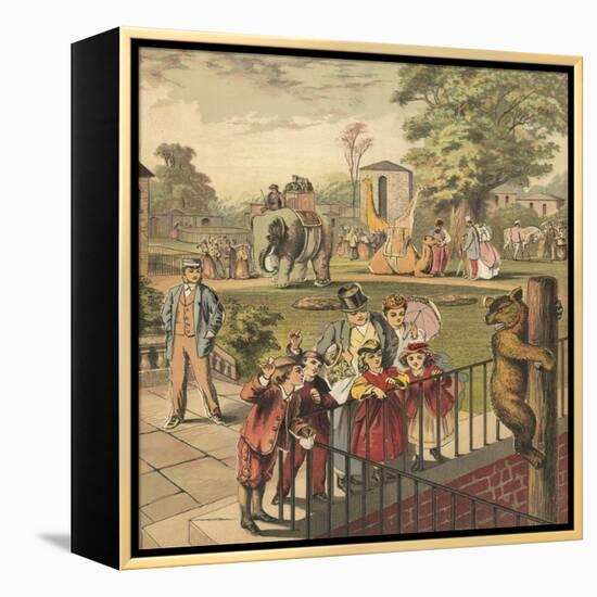 Going to the Zoo-English School-Framed Premier Image Canvas