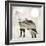 Going Wild IV-Color Bakery-Framed Giclee Print