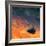 Going with the Flow-Doug Chinnery-Framed Photographic Print