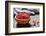 Goji Berries-tashka2000-Framed Photographic Print