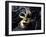 Gold A Carnival Mask With Black Feathers-voronin76-Framed Art Print