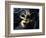 Gold A Carnival Mask With Black Feathers-voronin76-Framed Art Print