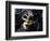 Gold A Carnival Mask With Black Feathers-voronin76-Framed Art Print