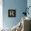 Gold Alphabet R-N. Harbick-Mounted Art Print displayed on a wall
