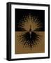Gold and Black Peacock-null-Framed Art Print