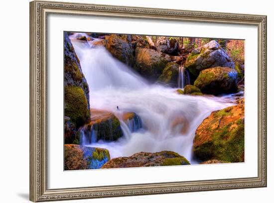 Gold and Blue Creek, Yosemite-Vincent James-Framed Photographic Print