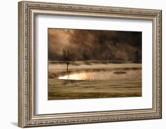 Gold and Copper-Kremena Nikolaeva-Framed Photographic Print