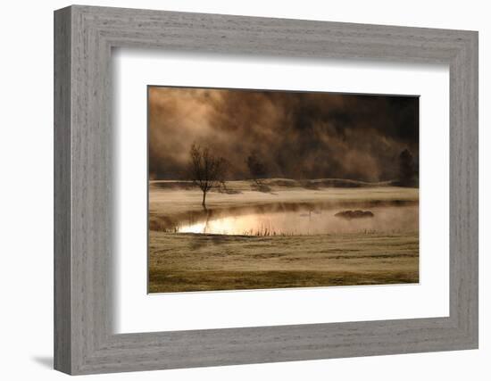 Gold and Copper-Kremena Nikolaeva-Framed Photographic Print