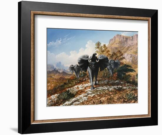 Gold and Ivory, Elephants Charging-Thomas Baines-Framed Art Print