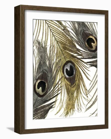 Gold and Silver Feathers I-Sophie 6-Framed Art Print