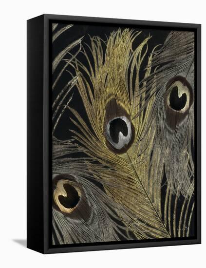 Gold and Silver Feathers II-Sophie 6-Framed Stretched Canvas