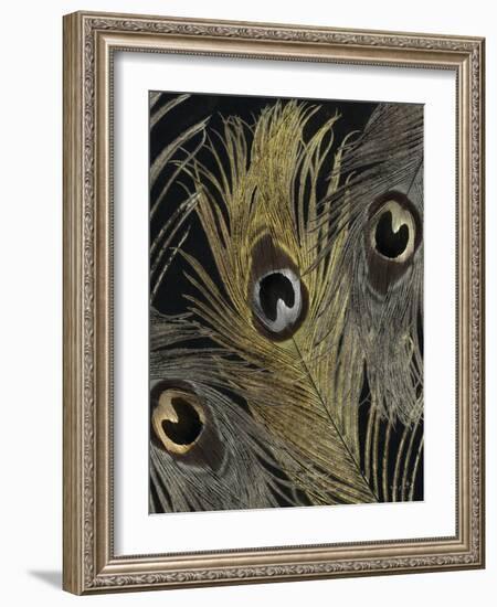 Gold and Silver Feathers II-Sophie 6-Framed Art Print