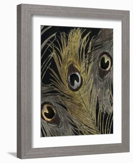 Gold and Silver Feathers II-Sophie 6-Framed Art Print