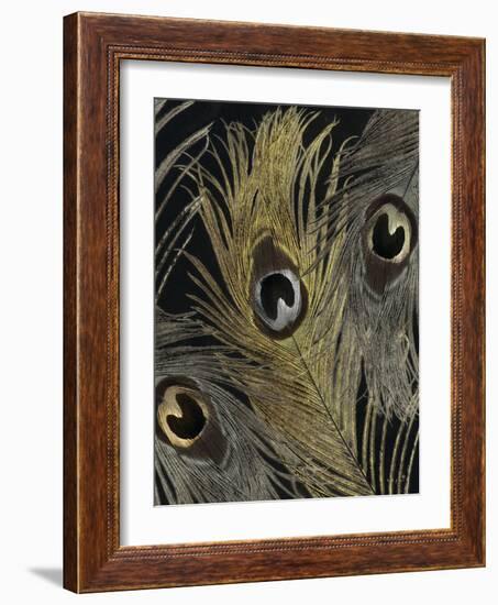 Gold and Silver Feathers II-Sophie 6-Framed Art Print