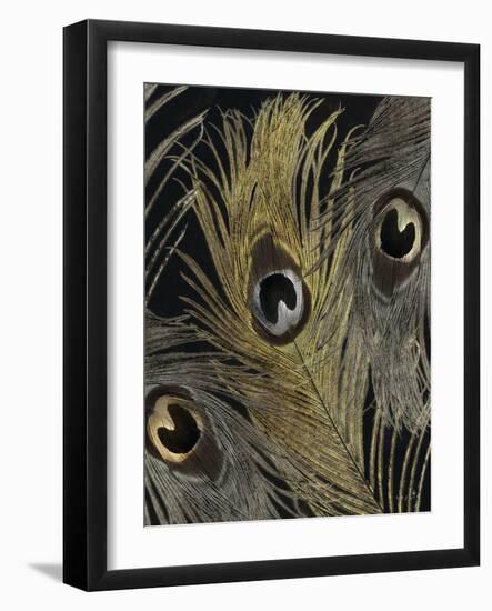 Gold and Silver Feathers II-Sophie 6-Framed Art Print