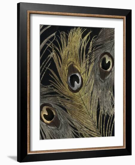 Gold and Silver Feathers II-Sophie 6-Framed Art Print