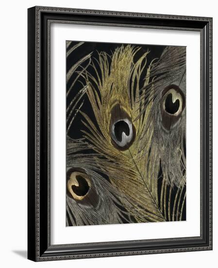 Gold and Silver Feathers II-Sophie 6-Framed Art Print