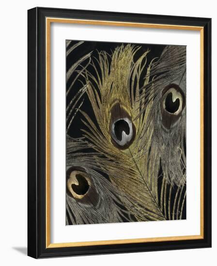 Gold and Silver Feathers II-Sophie 6-Framed Art Print