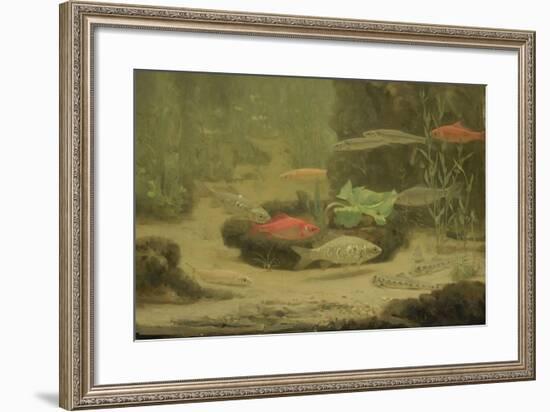 Gold and Silver Fish Swimming in an Aquarium-Gerrit Willem Dijsselhof-Framed Art Print