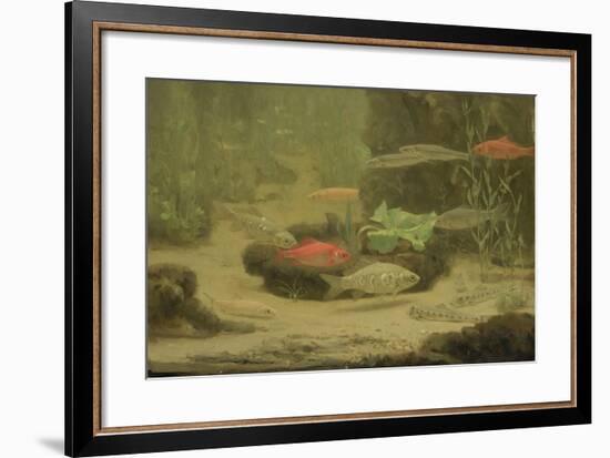 Gold and Silver Fish Swimming in an Aquarium-Gerrit Willem Dijsselhof-Framed Art Print