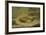 Gold and Silver Fish Swimming in an Aquarium-Gerrit Willem Dijsselhof-Framed Art Print