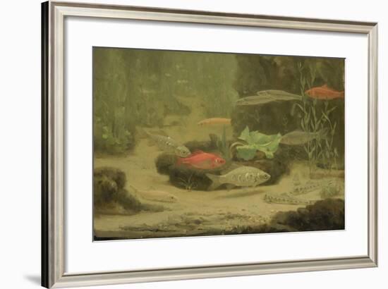 Gold and Silver Fish Swimming in an Aquarium-Gerrit Willem Dijsselhof-Framed Art Print