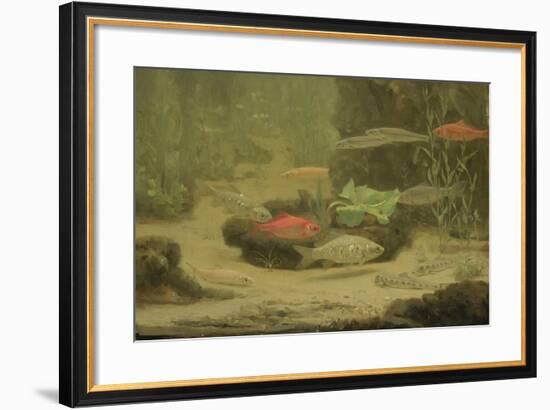 Gold and Silver Fish Swimming in an Aquarium-Gerrit Willem Dijsselhof-Framed Art Print