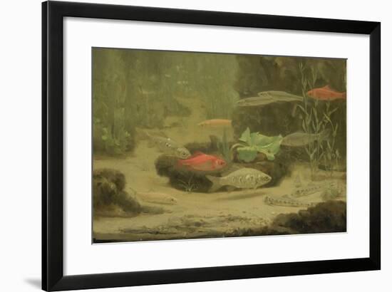 Gold and Silver Fish Swimming in an Aquarium-Gerrit Willem Dijsselhof-Framed Art Print