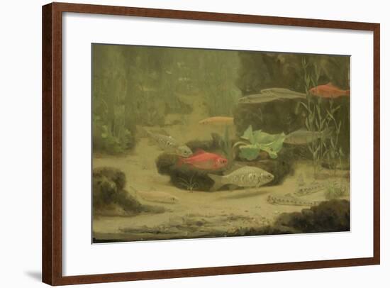 Gold and Silver Fish Swimming in an Aquarium-Gerrit Willem Dijsselhof-Framed Art Print