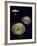 Gold and Silver Plates and Bowls of Undebaunded-null-Framed Giclee Print