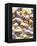 Gold and Silver Sugared Almonds-Michelle Garrett-Framed Premier Image Canvas