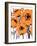 Gold Anemone-Natasha Wescoat-Framed Giclee Print