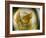 Gold Angel-Ursula Abresch-Framed Photographic Print