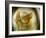 Gold Angel-Ursula Abresch-Framed Photographic Print