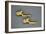 Gold Arc-null-Framed Giclee Print