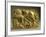 Gold Armour Stud Decorated with Animal Figures-null-Framed Giclee Print