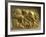 Gold Armour Stud Decorated with Animal Figures-null-Framed Giclee Print